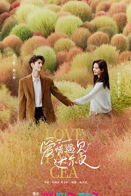 茂名seo外包选哪家